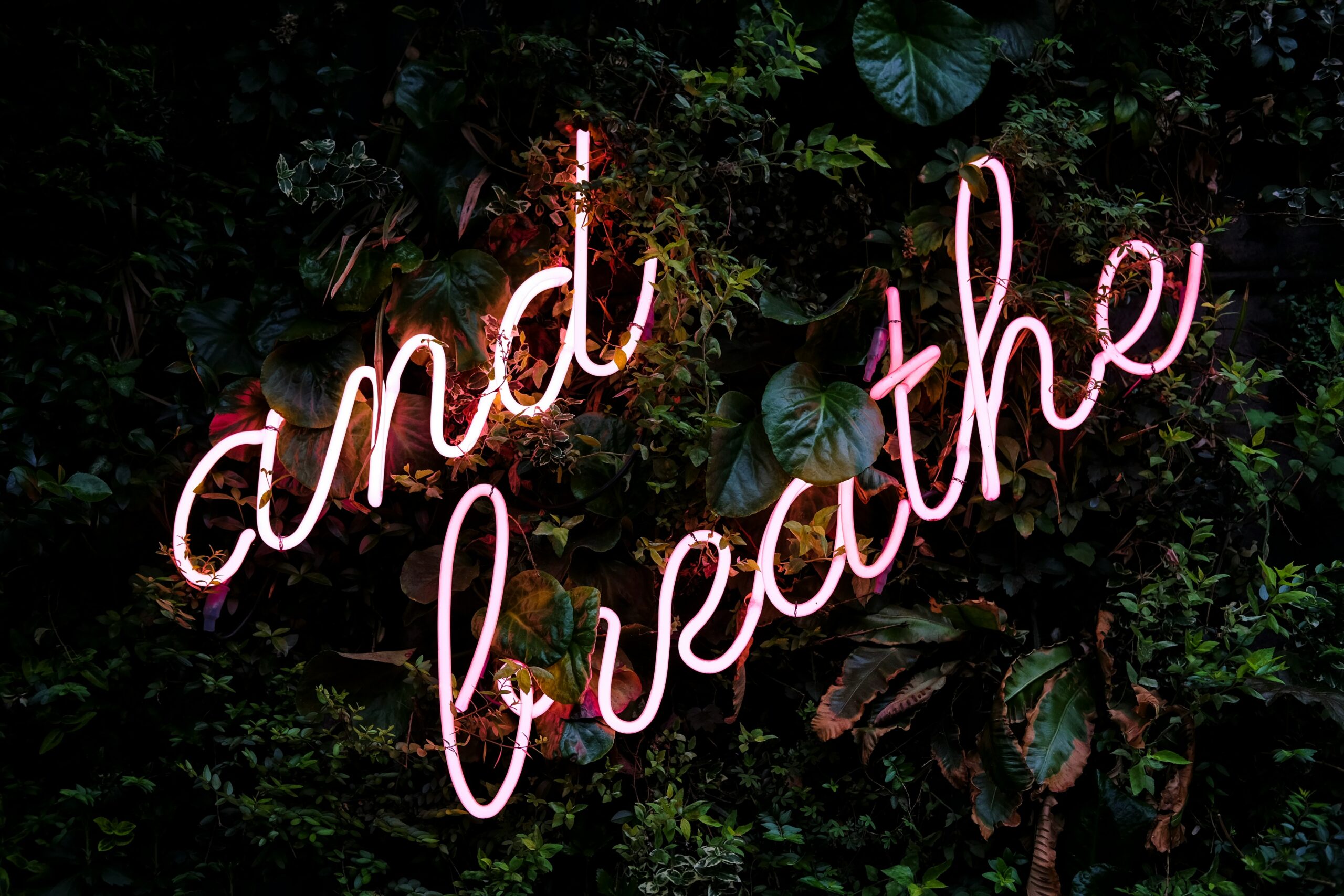 Lungenreinigung nach Rauchstopp: was stimmt, was nicht?