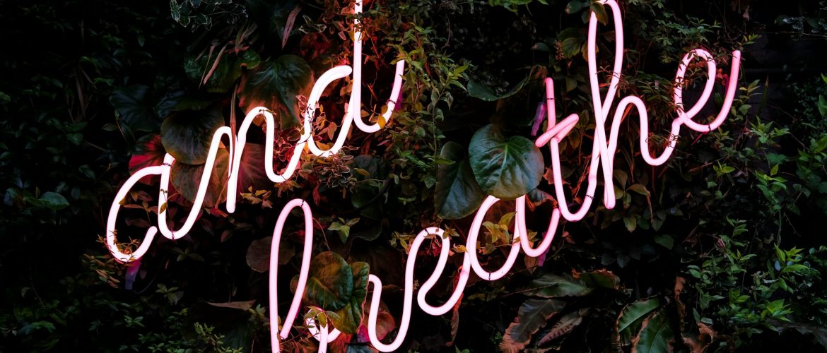 Lungenreinigung nach Rauchstopp: was stimmt, was nicht?